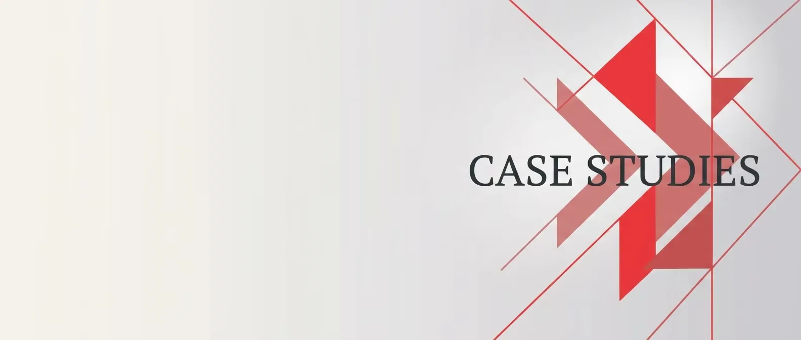 agilefever-case-studies